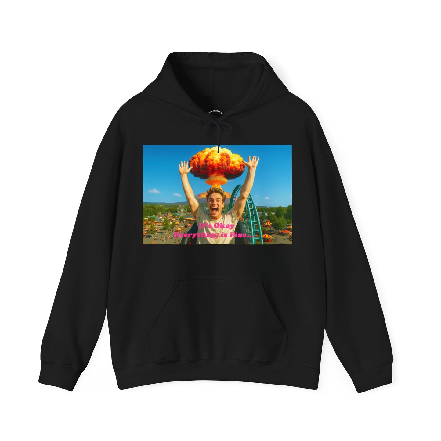 Everything is Fine Rollercoaster, Hoodie