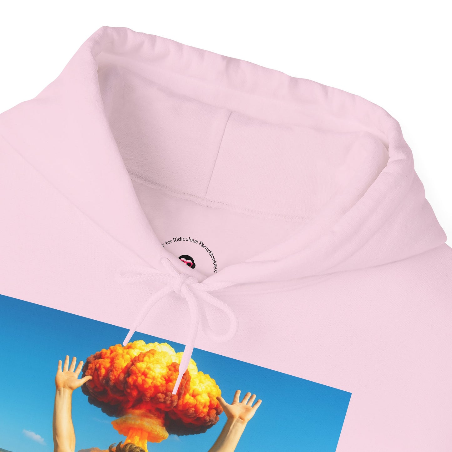 Everything is Fine Rollercoaster, Hoodie