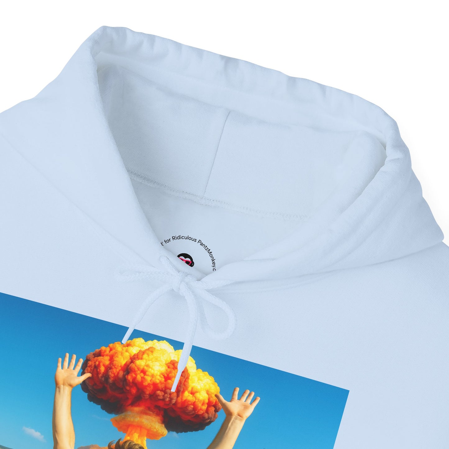 Everything is Fine Rollercoaster, Hoodie