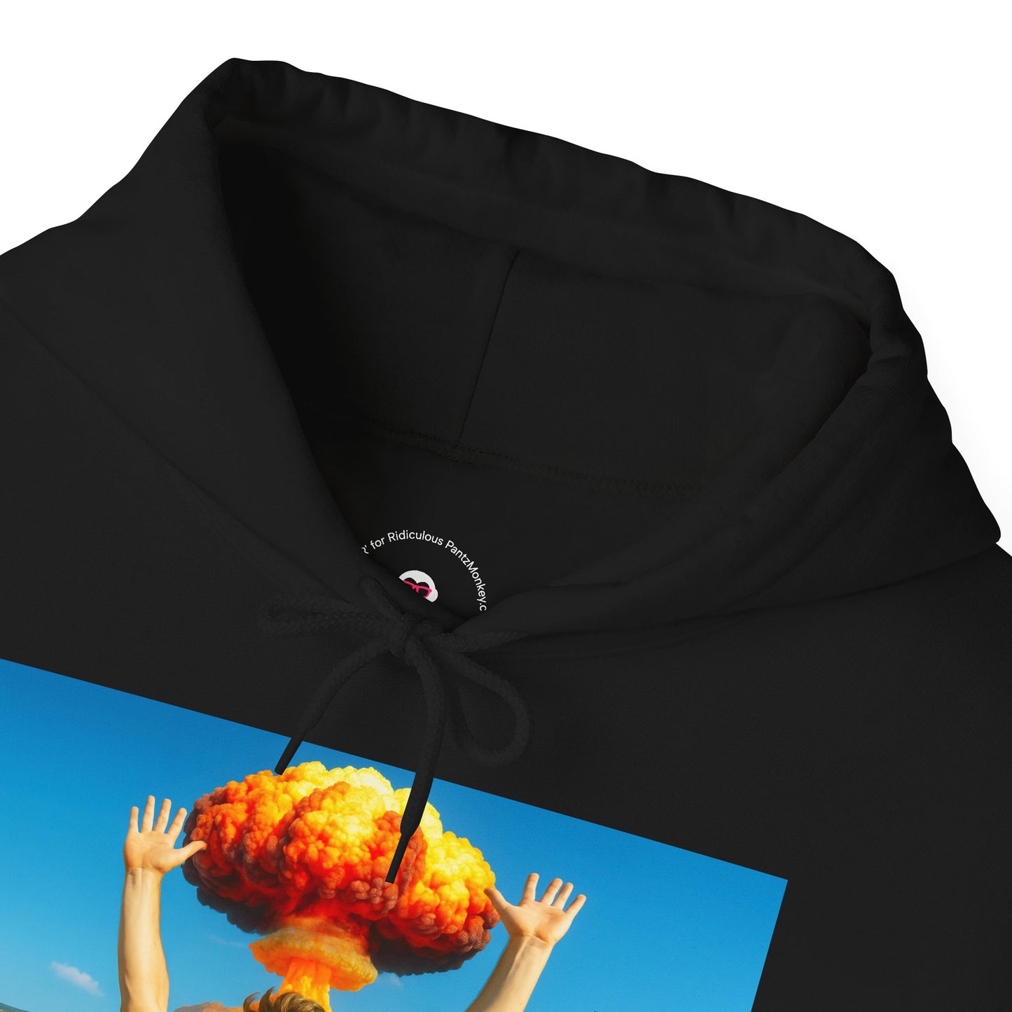 Everything is Fine Rollercoaster, Hoodie
