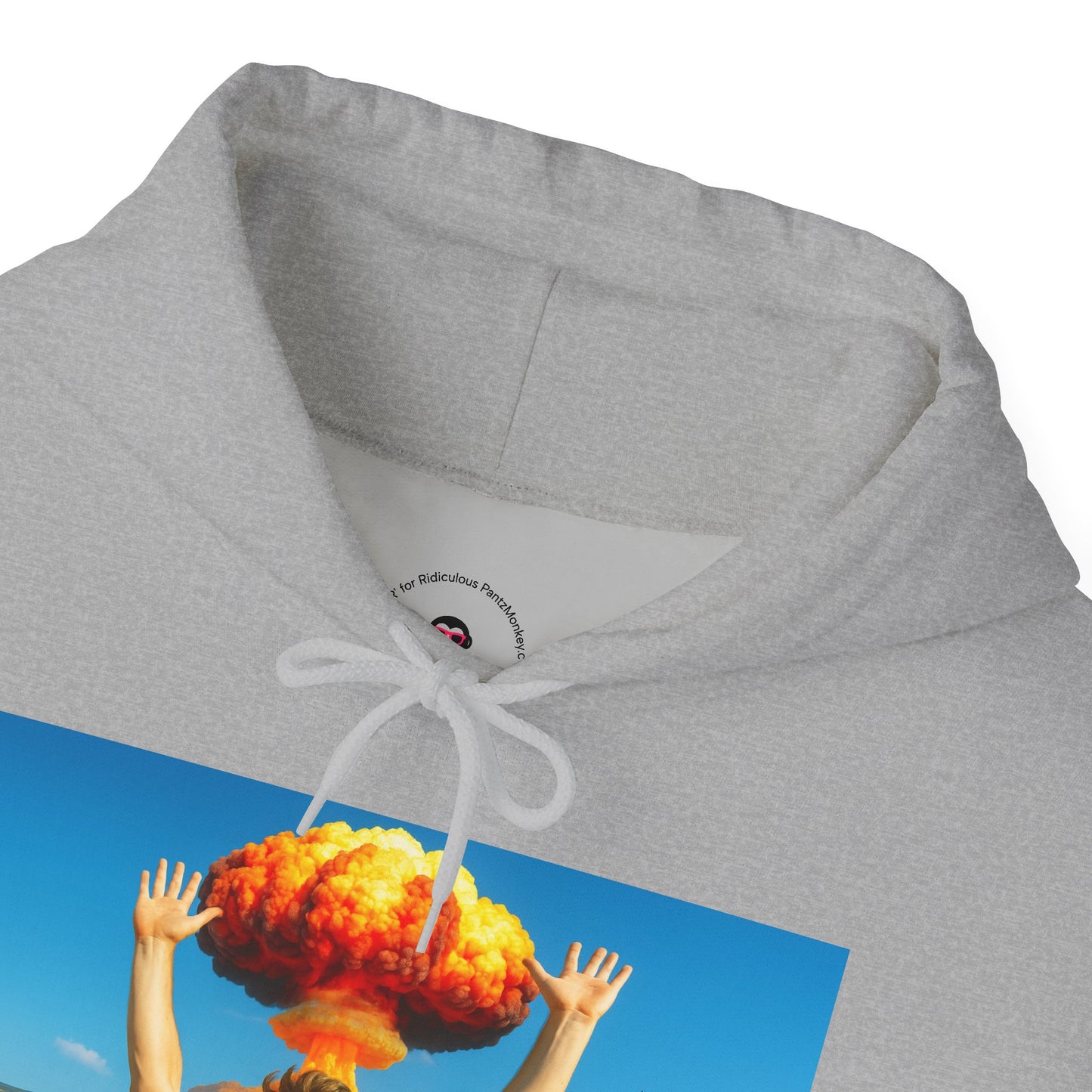 Everything is Fine Rollercoaster, Hoodie