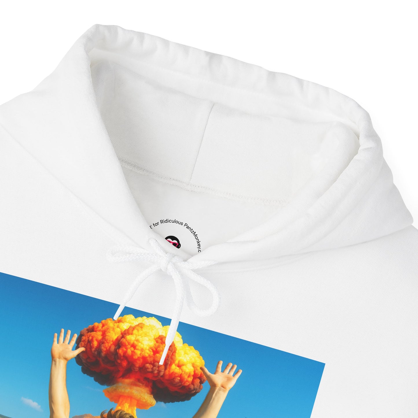 Everything is Fine Rollercoaster, Hoodie